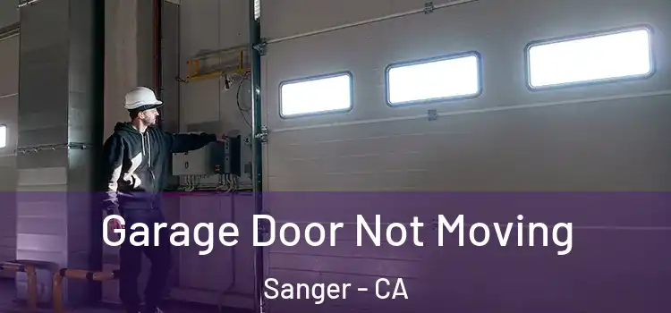  Garage Door Not Moving Sanger - CA