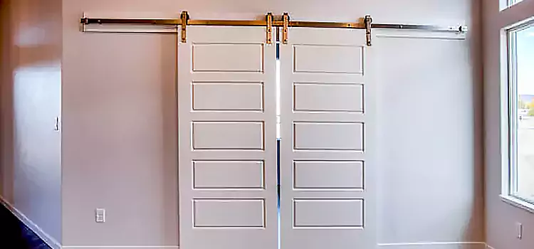 Glass Barn Door with Installation Hardware Kit Sanger