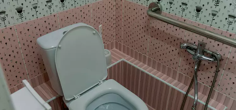 Meeting Diverse Needs With Accessible Restroom Solutions in Sanger, CA