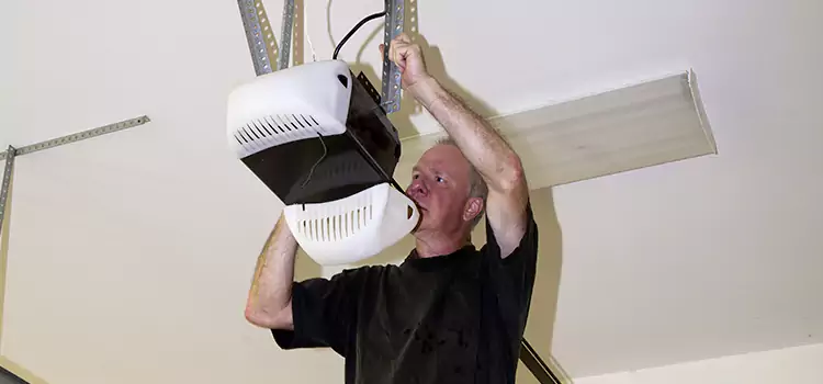 Garage Door Opener Service Sanger